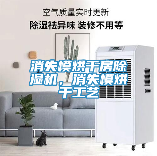 消失模烘干房除湿机，消失模烘干工艺