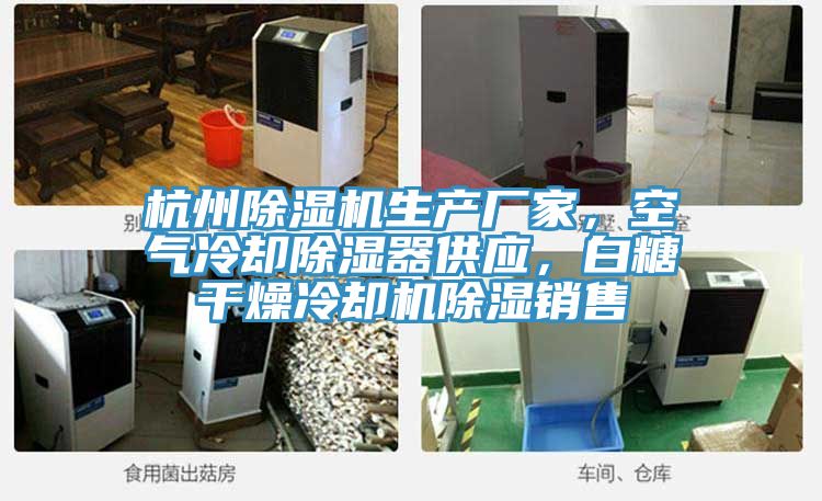 杭州除湿机生产厂家，空气冷却除湿器供应，白糖干燥冷却机除湿销售