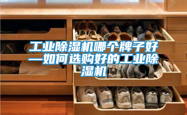工业除湿机哪个牌子好—如何选购好的工业除湿机