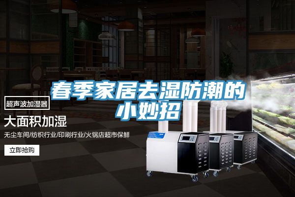 春季家居去湿防潮的小妙招