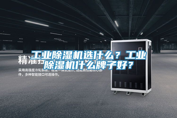 工业除湿机选什么？工业除湿机什么牌子好？