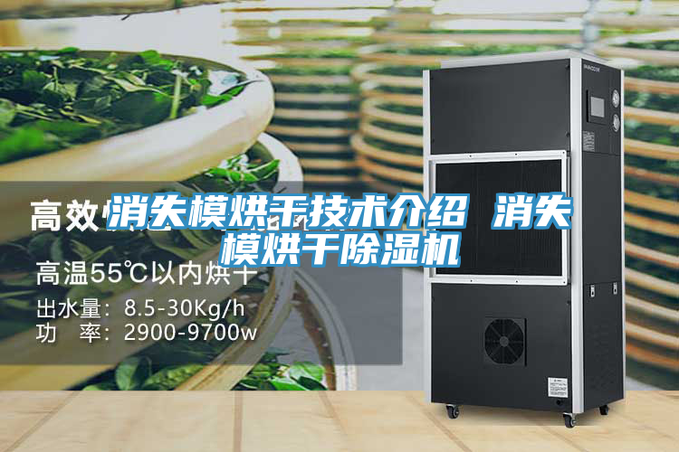 消失模烘干技术介绍 消失模烘干除湿机