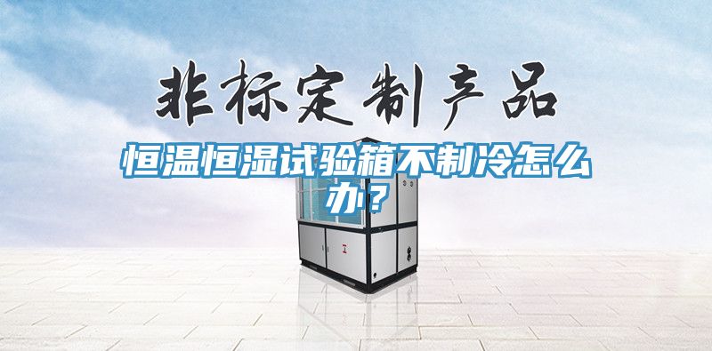 恒温恒湿试验箱不制冷怎么办？
