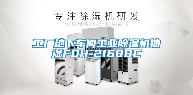 工厂地下车间工业除湿机抽湿FDH-2168BC