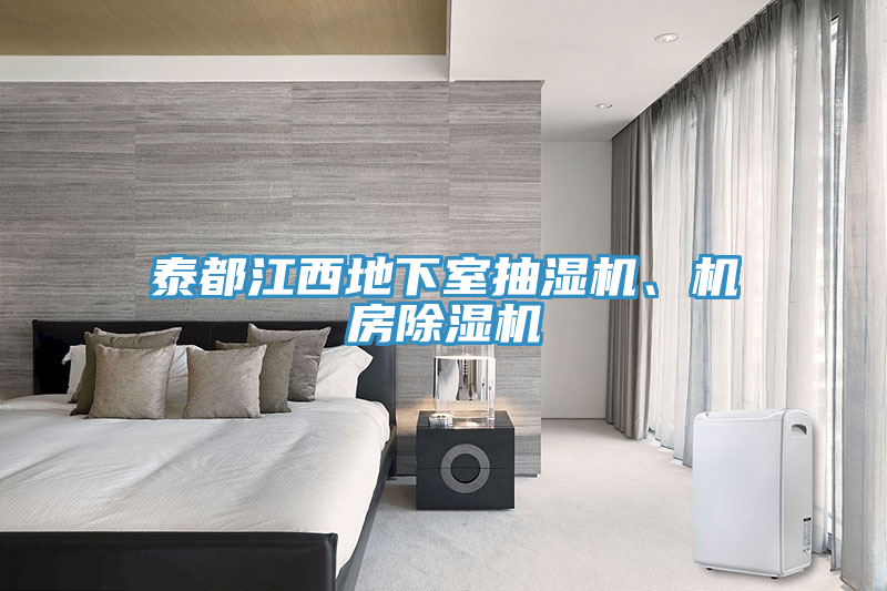 泰都江西地下室抽湿机、机房除湿机