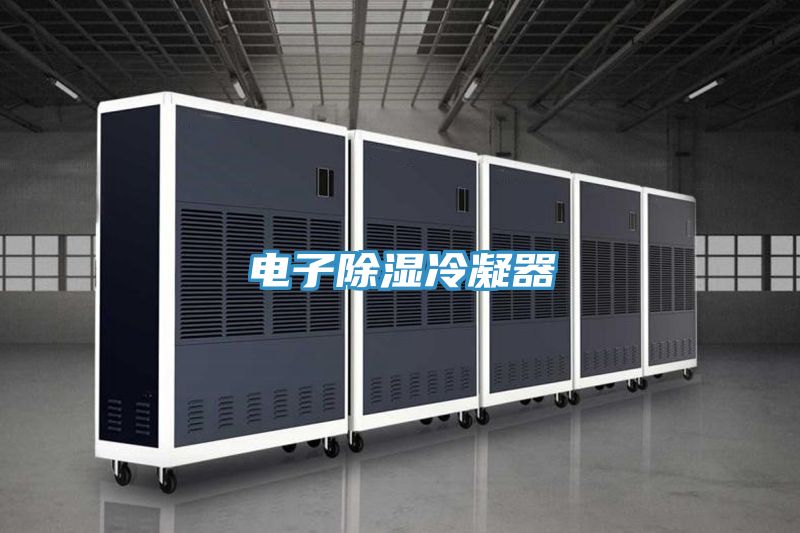 电子除湿冷凝器