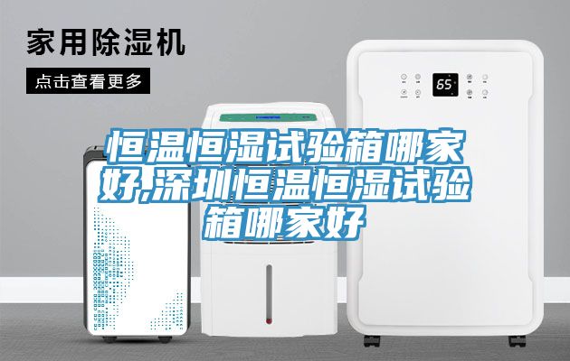 恒温恒湿试验箱哪家好,深圳恒温恒湿试验箱哪家好