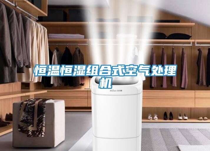 恒温恒湿组合式空气处理机