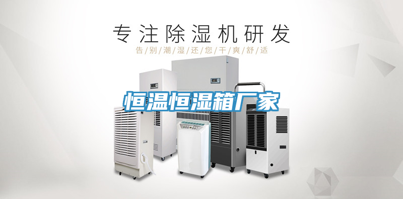 恒温恒湿箱厂家