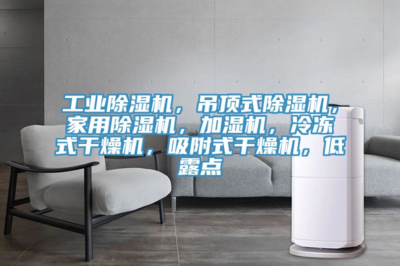 工业除湿机，吊顶式除湿机，家用除湿机，加湿机，冷冻式干燥机，吸附式干燥机，低露点