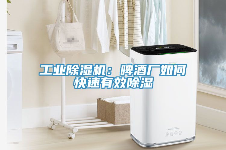 工业除湿机：啤酒厂如何快速有效除湿