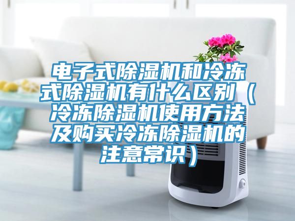 电子式除湿机和冷冻式除湿机有什么区别（冷冻除湿机使用方法及购买冷冻除湿机的注意常识）
