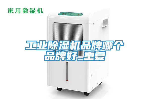 工业除湿机品牌哪个品牌好_重复
