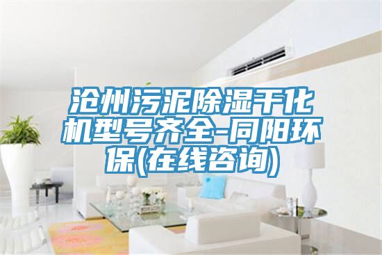 沧州污泥除湿干化机型号齐全-同阳环保(在线咨询)