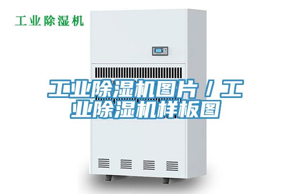 工业除湿机图片／工业除湿机样板图