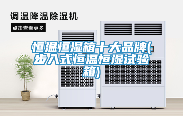 恒温恒湿箱十大品牌(步入式恒温恒湿试验箱)