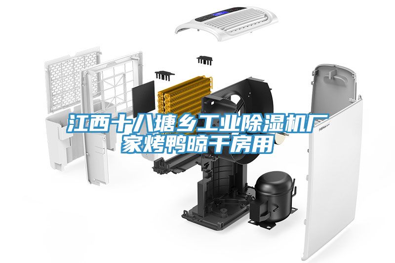 江西十八塘乡工业除湿机厂家烤鸭晾干房用