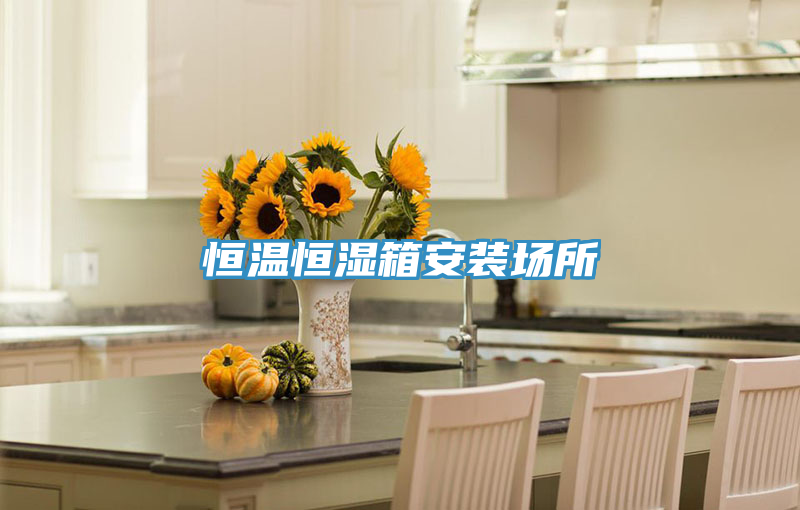 恒温恒湿箱安装场所