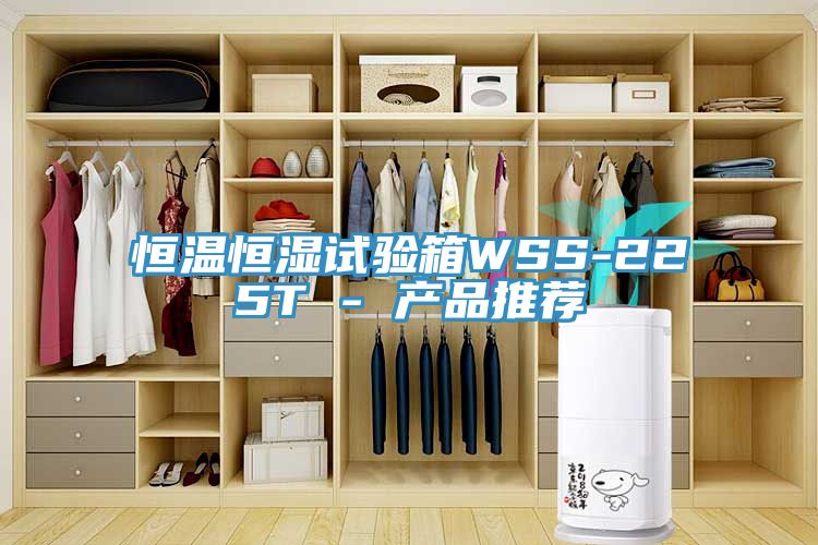 恒温恒湿试验箱WSS-225T - 产品推荐