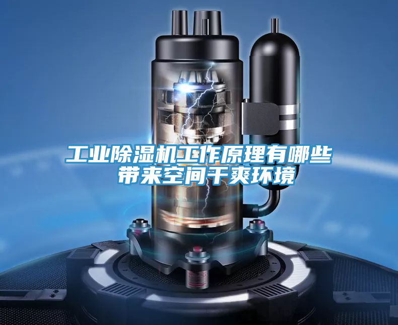 工业除湿机工作原理有哪些 带来空间干爽环境