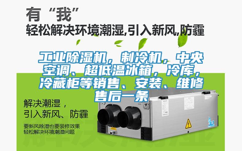 工业除湿机，制冷机，中央空调、超低温冰箱，冷库，冷藏柜等销售、安装、维修售后一条