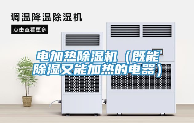 电加热除湿机（既能除湿又能加热的电器）