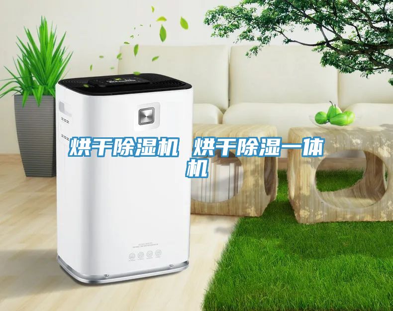 烘干除湿机 烘干除湿一体机