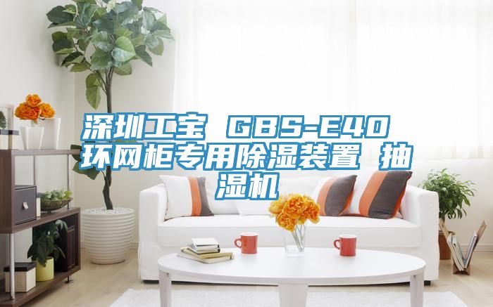 深圳工宝 GBS-E40 环网柜专用除湿装置 抽湿机