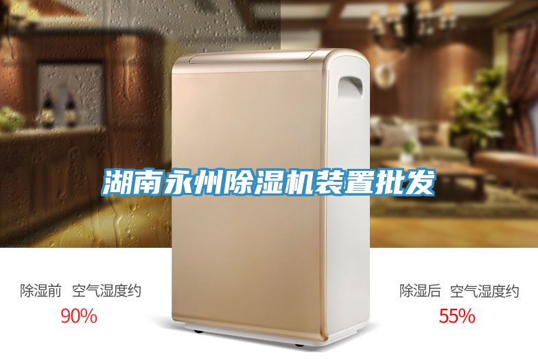 湖南永州除湿机装置批发