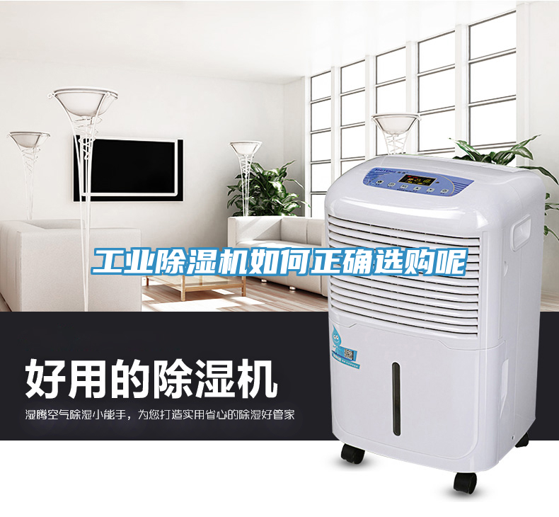 工业除湿机如何正确选购呢