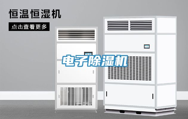 电子除湿机