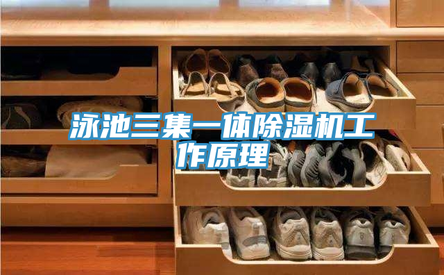 泳池三集一体除湿机工作原理