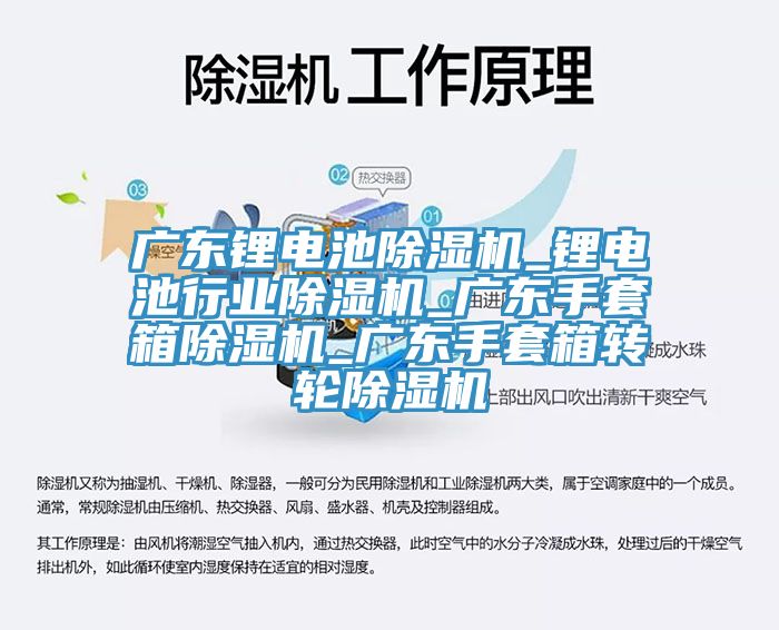 广东锂电池除湿机_锂电池行业除湿机_广东手套箱除湿机_广东手套箱转轮除湿机