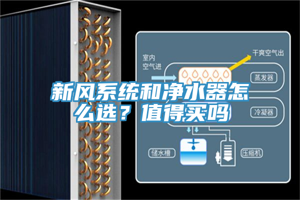 新风系统和净水器怎么选？值得买吗