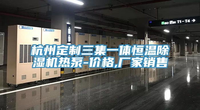 杭州定制三集一体恒温除湿机热泵-价格,厂家销售