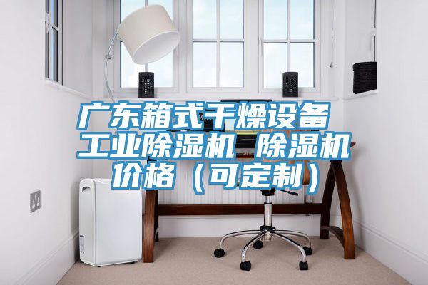 广东箱式干燥设备 工业除湿机 除湿机价格（可定制）