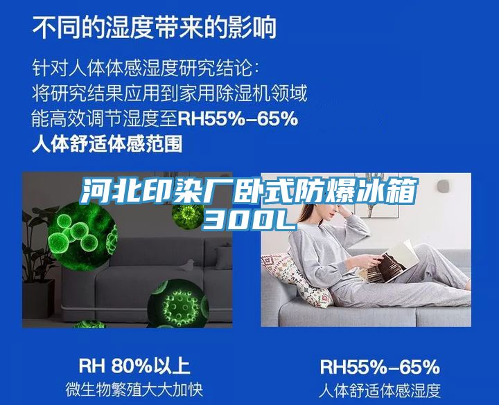 河北印染厂卧式防爆冰箱300L