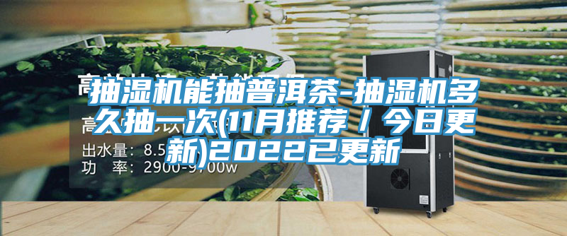 抽湿机能抽普洱茶-抽湿机多久抽一次(11月推荐／今日更新)2022已更新