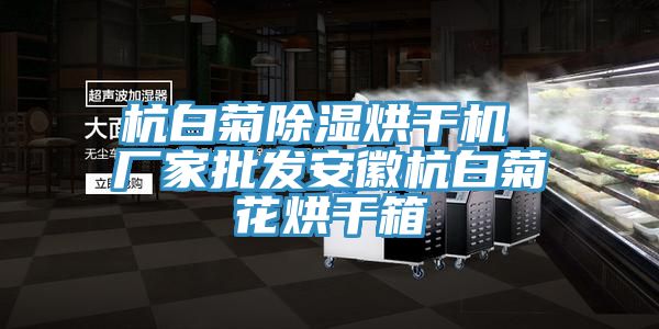 杭白菊除湿烘干机 厂家批发安徽杭白菊花烘干箱