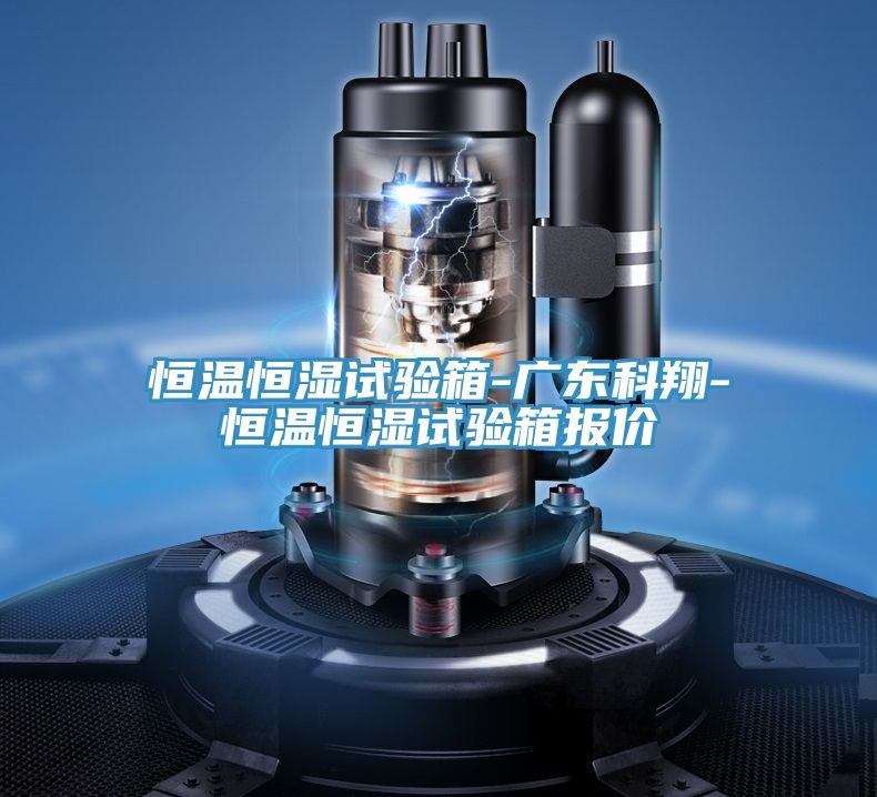 恒温恒湿试验箱-广东科翔-恒温恒湿试验箱报价