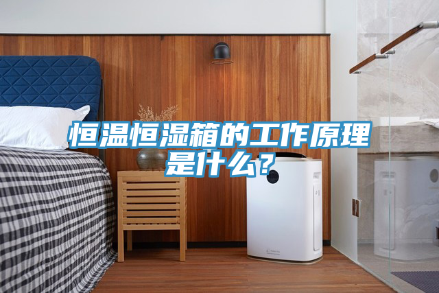恒温恒湿箱的工作原理是什么？