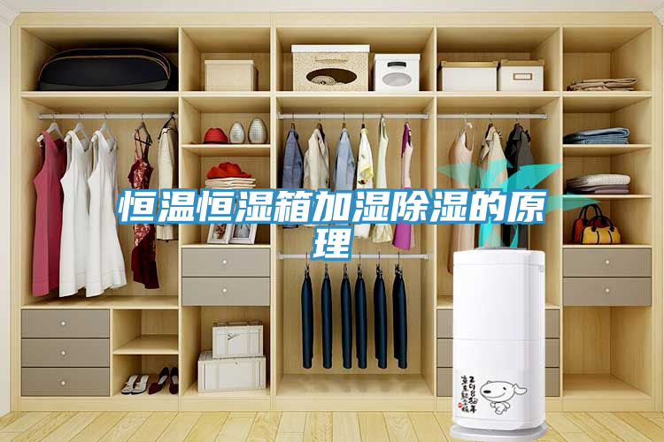 恒温恒湿箱加湿除湿的原理