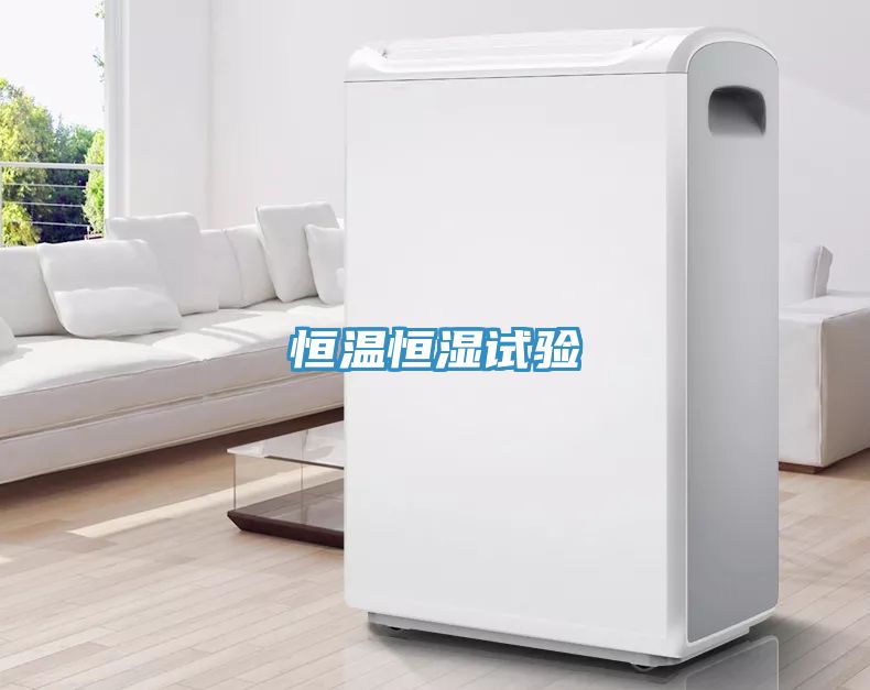恒温恒湿试验