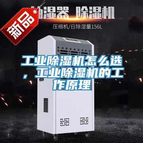 工业除湿机怎么选，工业除湿机的工作原理