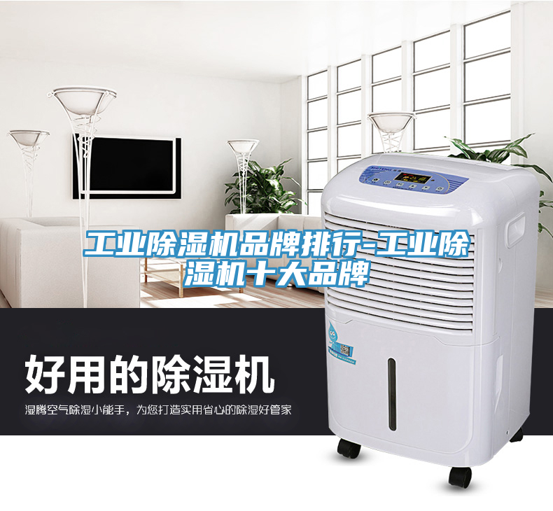 工业除湿机品牌排行-工业除湿机十大品牌