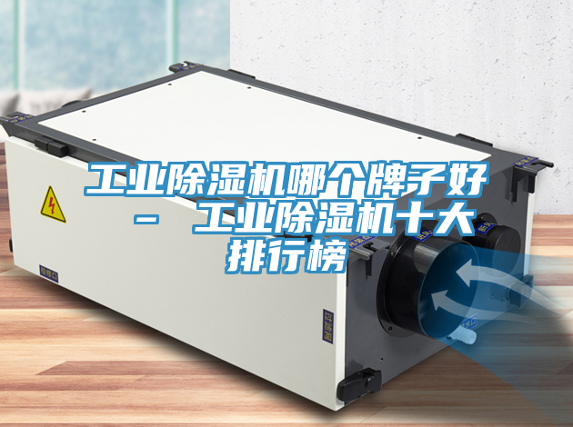 工业除湿机哪个牌子好 – 工业除湿机十大排行榜