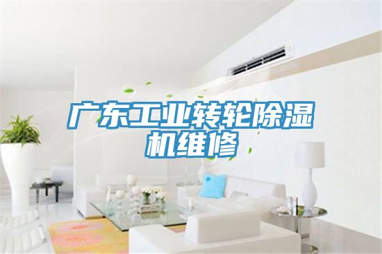 广东工业转轮除湿机维修