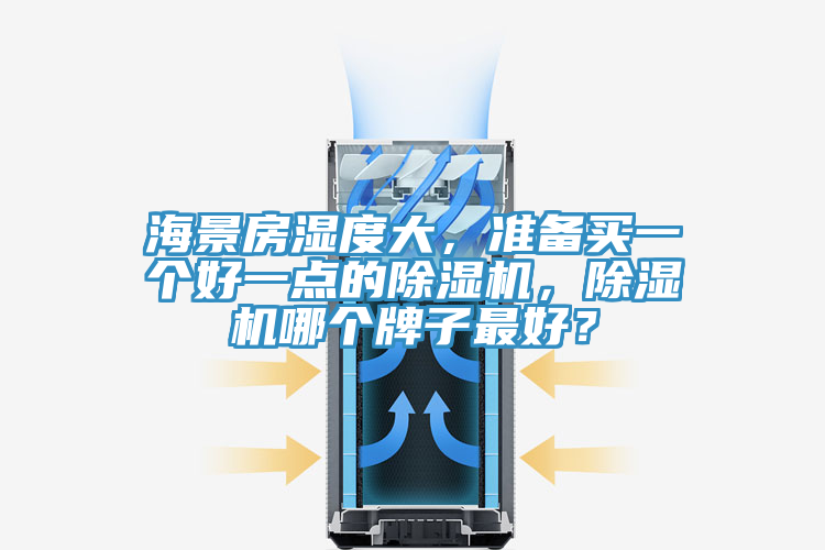海景房湿度大，准备买一个好一点的除湿机，除湿机哪个牌子最好？