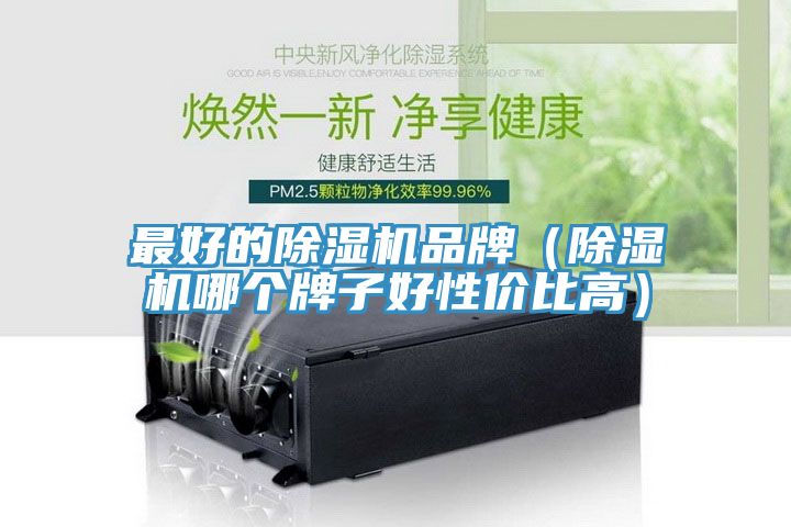 最好的除湿机品牌（除湿机哪个牌子好性价比高）
