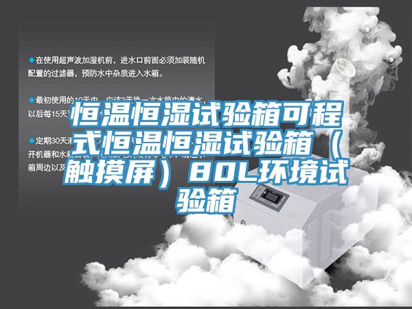 恒温恒湿试验箱可程式恒温恒湿试验箱（触摸屏）80L环境试验箱